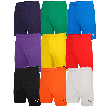   Puma Team Rise Shorts